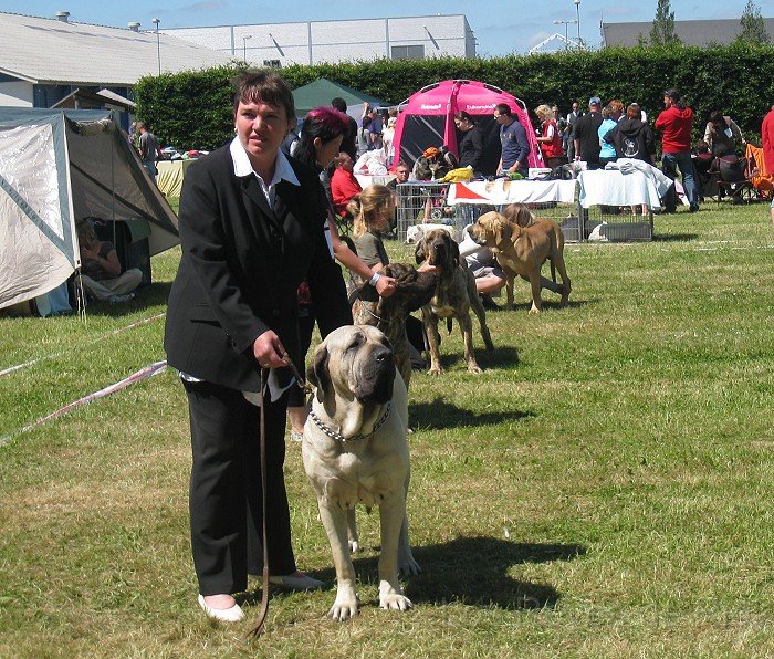 IMG_0794.jpg - Oder ist es so besser?