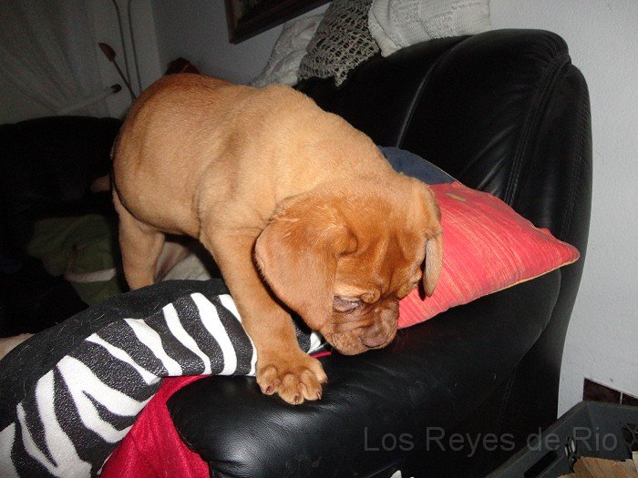 0138.jpg - Aber vielleicht kann ich ja was anderes anstellen. 