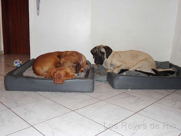 0149.jpg - Menno.. ich will auch mit in das andere Bett.... 