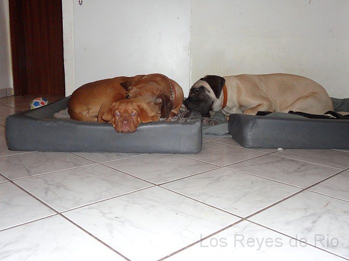 0150.jpg - Immer muss ich allein hier liegen 