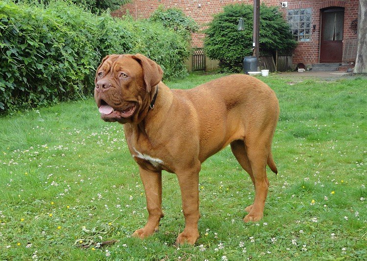 DSC00407.jpg - So langsam bin ich schon ein grosses Mädchen.