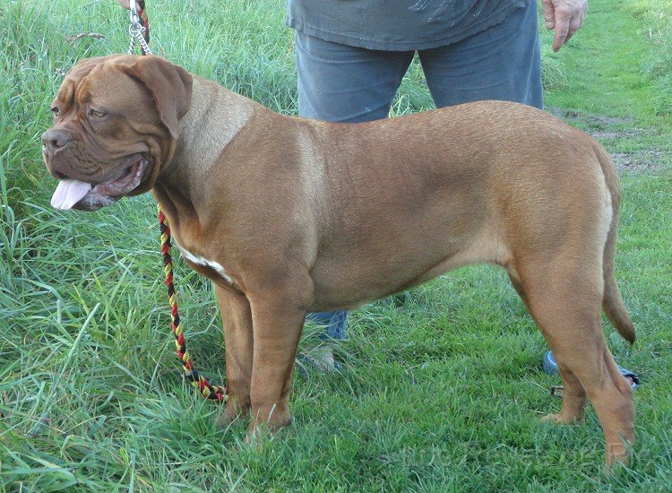 DSC00483.jpg - Bin ich nicht schick? 