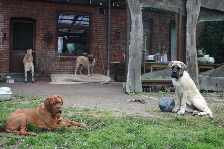 besuchistda.jpg - Armes Frauchen....immer hat sie so ein komischen Ding vor dem einen Auge.