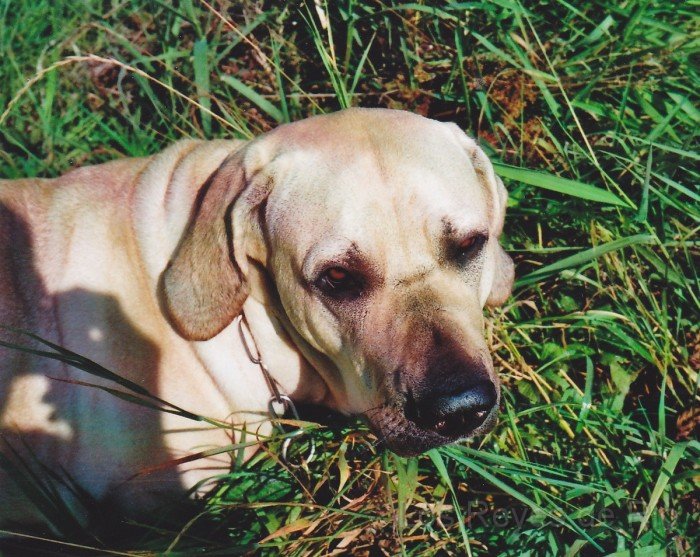 kosma_09.jpg - Kosma