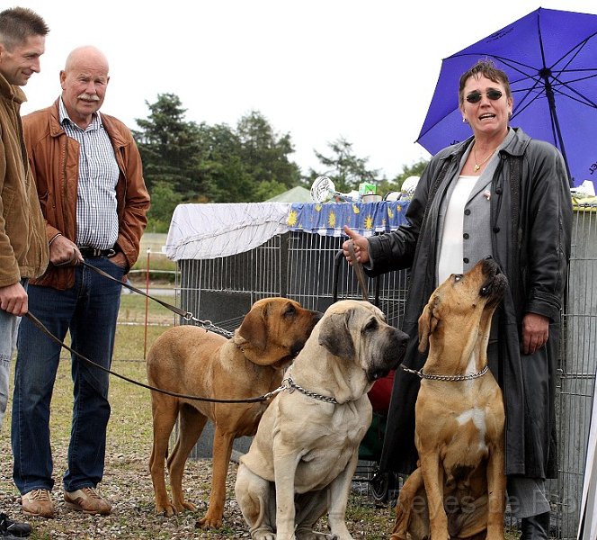 IMG_0955.jpg - Frauchen, deine Haare sind auch schon ganz nass... nun kann es doch aber Zeit werden.....