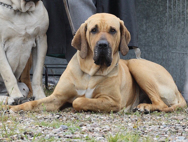 IMG_0960-2.jpg - So du Fremde..nun pack mal deine Kamera wieder ein. Jetzt ist Schicht, sonst kommen wir hier überhaupt nicht mehr vom Gelände..... 