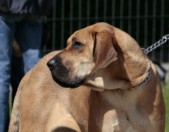 _MG_8618.jpg - ...und hier dürft Ihr mich von meiner Schokoladenseite betrachten.