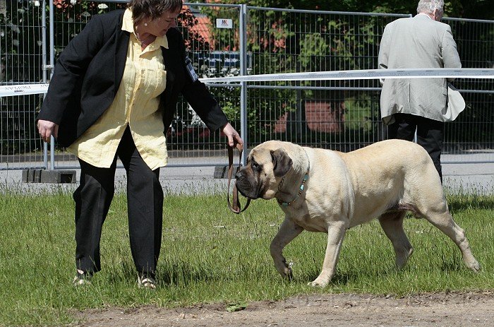_MG_8667.jpg - Da kannst du noch so nett tun.... ich mag das hier nicht..... 