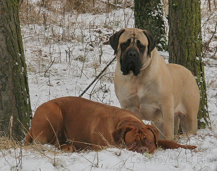 IMG_8572x.jpg - Keine Couch..