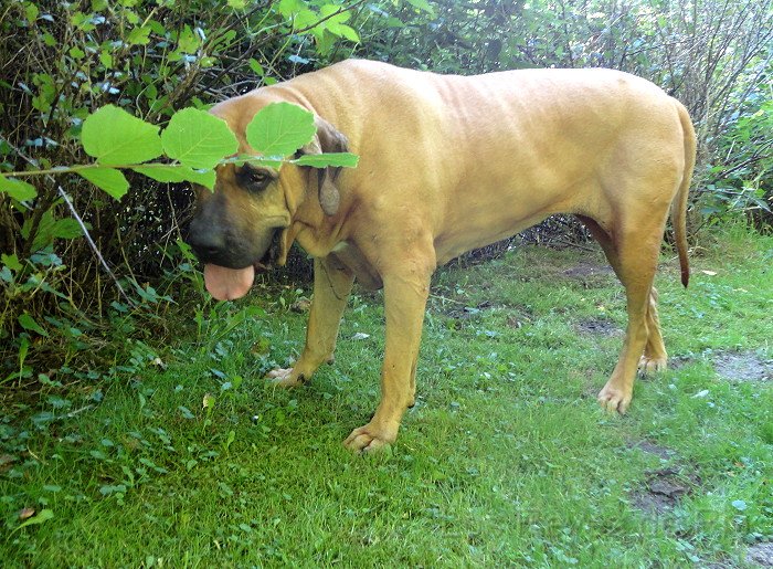 DSC00911.JPG - Ha... ich versteck mich hier.....