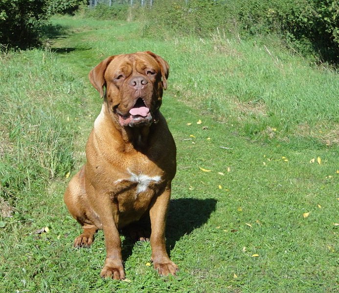 DSC00915.JPG - Boah... das dauert ja wieder.....